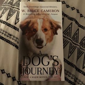 a dogs journey